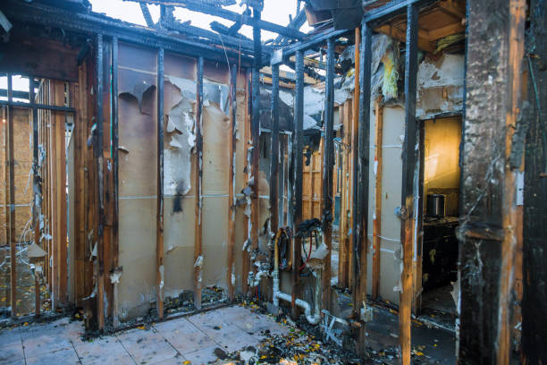 Professional Fire Damage Removal technician working in Gainesville, FL